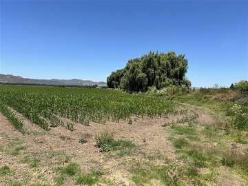 Parcela en venta en Parcela 30 sector los Rulos, María Pinto