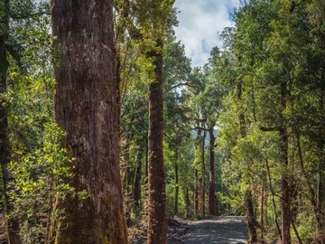 Parcela en venta en Lago Tepuhueico, Chonchi