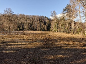 Terreno en venta en Ruta, Curarrehue