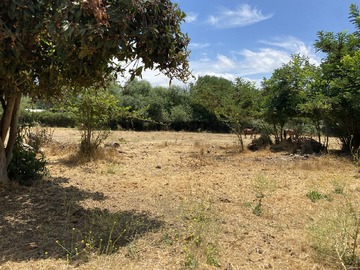 Parcela en venta en Avenida El Peral parcela 28, Paine - 1 baño