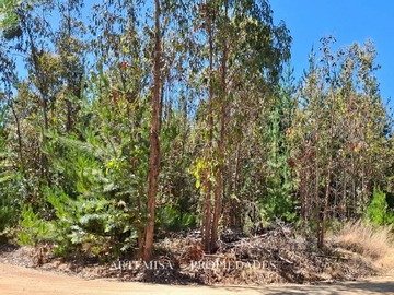 Parcela en venta en Pailimo lt 1 – b 125, pichilemu, Pichilemu