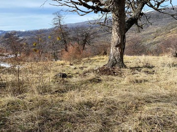 Terreno Agricola en venta en Ideal para 2da Vivienda (175568), Chile Chico