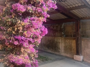 Casa en venta en carrera, Quilpué - 4 dormitorios, 3 baños