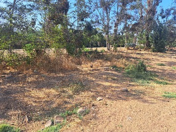 Terreno en venta en Venta de Parcela en el Olivo, La Calera (152723), Hijuelas