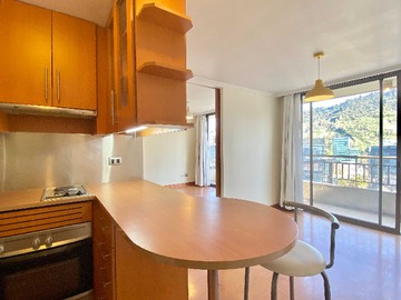 Departamento en arriendo mensual en Vista Norte - Luminoso (177389), Providencia