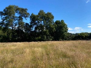 Terreno en venta en Se vende parcela 9200 m2 en vilcún (71180), Vilcún