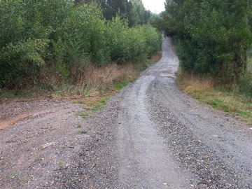 Parcela en venta en Torobayo - Los Aromos Lote C Ruta T-340, Valdivia