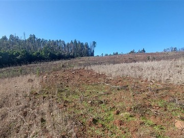 Terreno Agricola en venta en Terreno de 5,2 hectáreas en venta – sector millapoa, nacimiento, Nacimiento