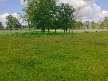 Parcela en venta en Vendo Parcela 1/2 Ha.