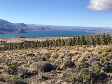 Parcela en venta en Península levicán, río ibañez., Río Ibáñez