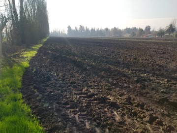 Terreno Agricola en venta en Venta Terreno Agricola Lampa - Opcion Derechos de Agua