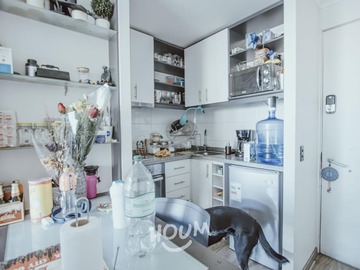 Venta / Departamento / Santiago