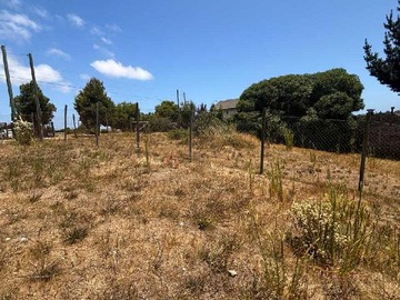 Venta / Terreno / Algarrobo