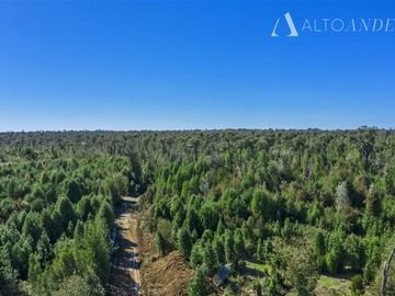 Sitio en venta en Sector Aguas Buenas, Ancud