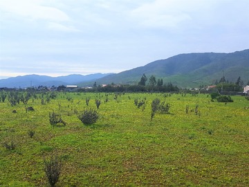 Parcela en venta en Hermosa Parcela 5000 M2