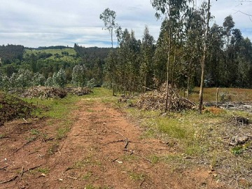 Terreno en venta en parcela en cancha montero Florida (139899), Florida