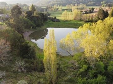 Sitio en venta en San Ignacio de Palomares, Ránquil