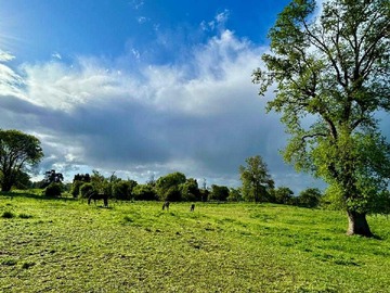 Terreno en venta en Parcela, ruta u-55. Terrazas de Tacamó (126903), Osorno