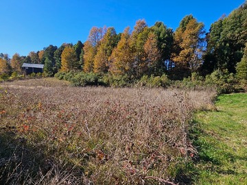 Parcela en venta en Parcela Exclusiva en Molco Villarrica