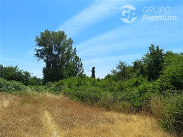 Parcela en venta en Santa Filomena HJ,12 Loteo 12-1 (Camino Villaseca), Retiro, Retiro