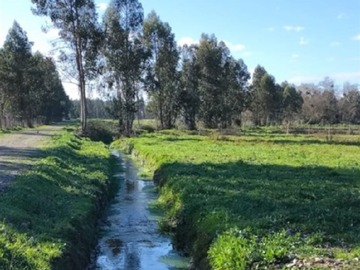 Parcela en venta en Longaví, Longaví