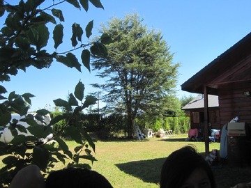 Casa en venta en Rio allipen, Freire - 5 dormitorios, 2 baños