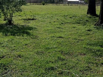 Parcela en venta en Venta O Permuta de Parcela a Minutos de Villarrica - 5 dormitorios, 3 baños