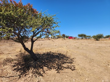 Terreno en venta en San Miguel de los Llanos, La Estrella