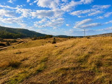 Terreno en venta en Oportunidad de Inversión en Parcela (174234), Paredones