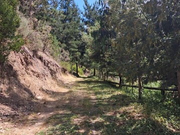 Parcela en venta en Cabeceras, Paredones, Paredones