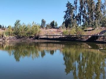 Parcela en venta en Parcela Urbanizada Lago Rapel, Las Cabras