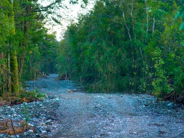 Terreno Agricola en venta en Tu propio mini campo natural en Laguna Troya (131025), Calbuco