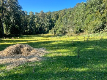 Terreno en venta en Amplia Parcela para Inversión (140571), Lanco