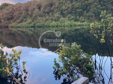 Parcela en venta en Camino la Vega, Nueva Braunau, Puerto Varas
