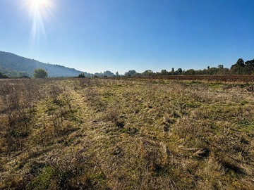 Venta / Terreno / Palmilla