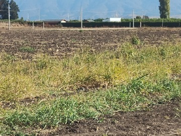 Parcela en venta en Sector la Mota - La Peña, La Calera