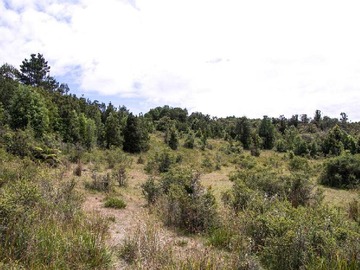Terreno Agricola en venta en San José de Mariquina, Mariquina