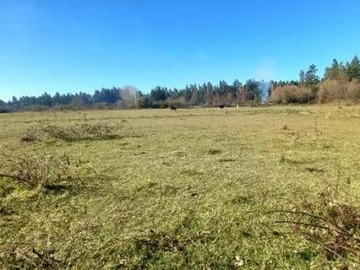 Parcela en venta en Camilo Henriquez - Santa Rosa, San Carlos