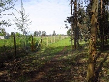 Venta / Parcela / Bulnes