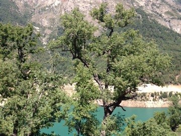 Terreno Agricola en venta en Embalse ancoa, Colbún