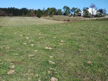 Terreno en venta en Alto los riscos, Pucón