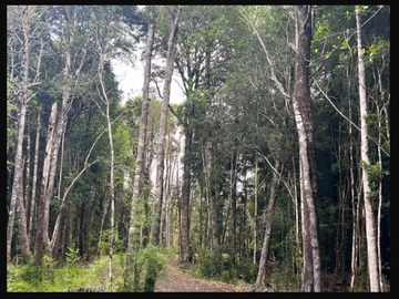 Terreno en venta en A 10 min de puerto varas (70578), Puerto Varas - 1 baño