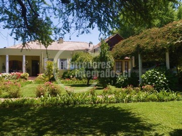 Sitio en venta en Chépica - Ruta del Vino - Colchagua casa Principal, huéspedes y servicio., Chépica - 7 dormitorios, 4 baños
