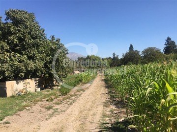 Arriendo Mensual / Sitio / Pirque