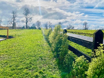 Terreno en venta en Parcela, Bosques del Rio Tijeral (104182), Osorno