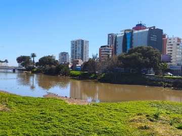 Arriendo Mensual / Local Comercial / Viña del Mar