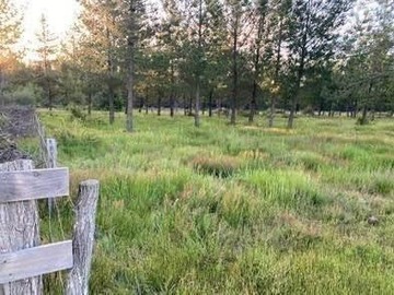 Sitio en venta en El Cortijo - Sector Paraguay, Los Ángeles