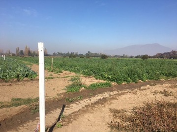 Terreno en venta en Terreno a la Venta en Sector Ohiggins Ignacio Carrera, Lampa.