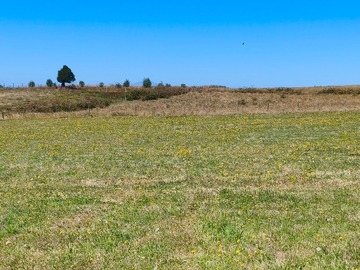 Parcela en venta en Se Vende Parcela en Millaray a 10 Munitos de los Muermos