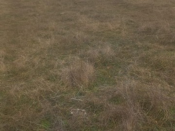 Terreno Agricola en venta en San nicolas, Ninhue
